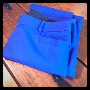 Royal Blue Express Columnist Dress Pants